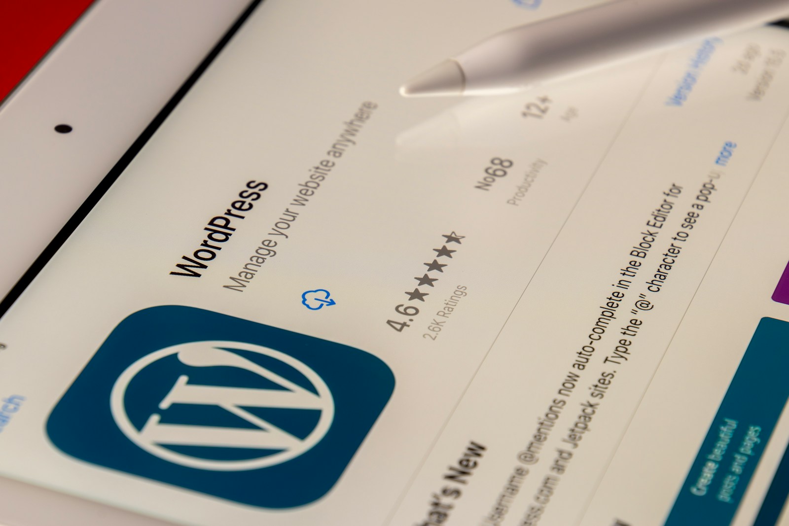 Best WordPress Migration Plugins: Top Picks and Practices for 2025